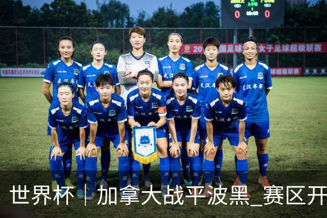 世界杯｜加拿大战平波黑 赛区开幕式表演“翻车”